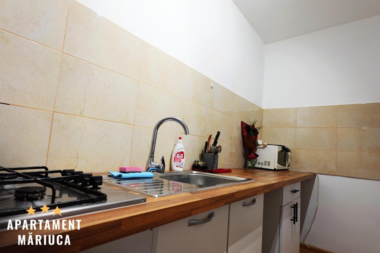 Mariuca Apartament Buşteni Extérieur photo
