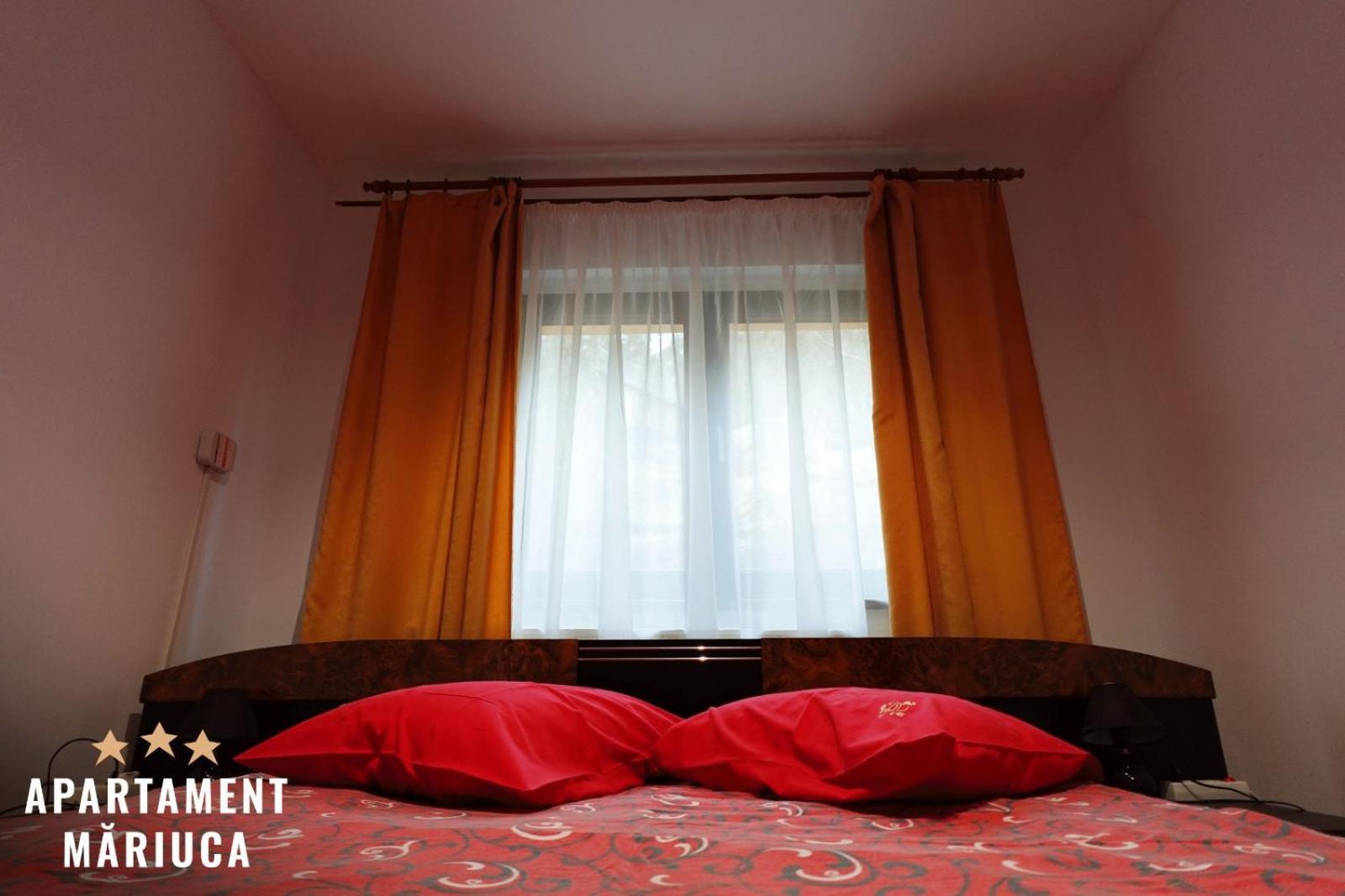 Mariuca Apartament Buşteni Extérieur photo