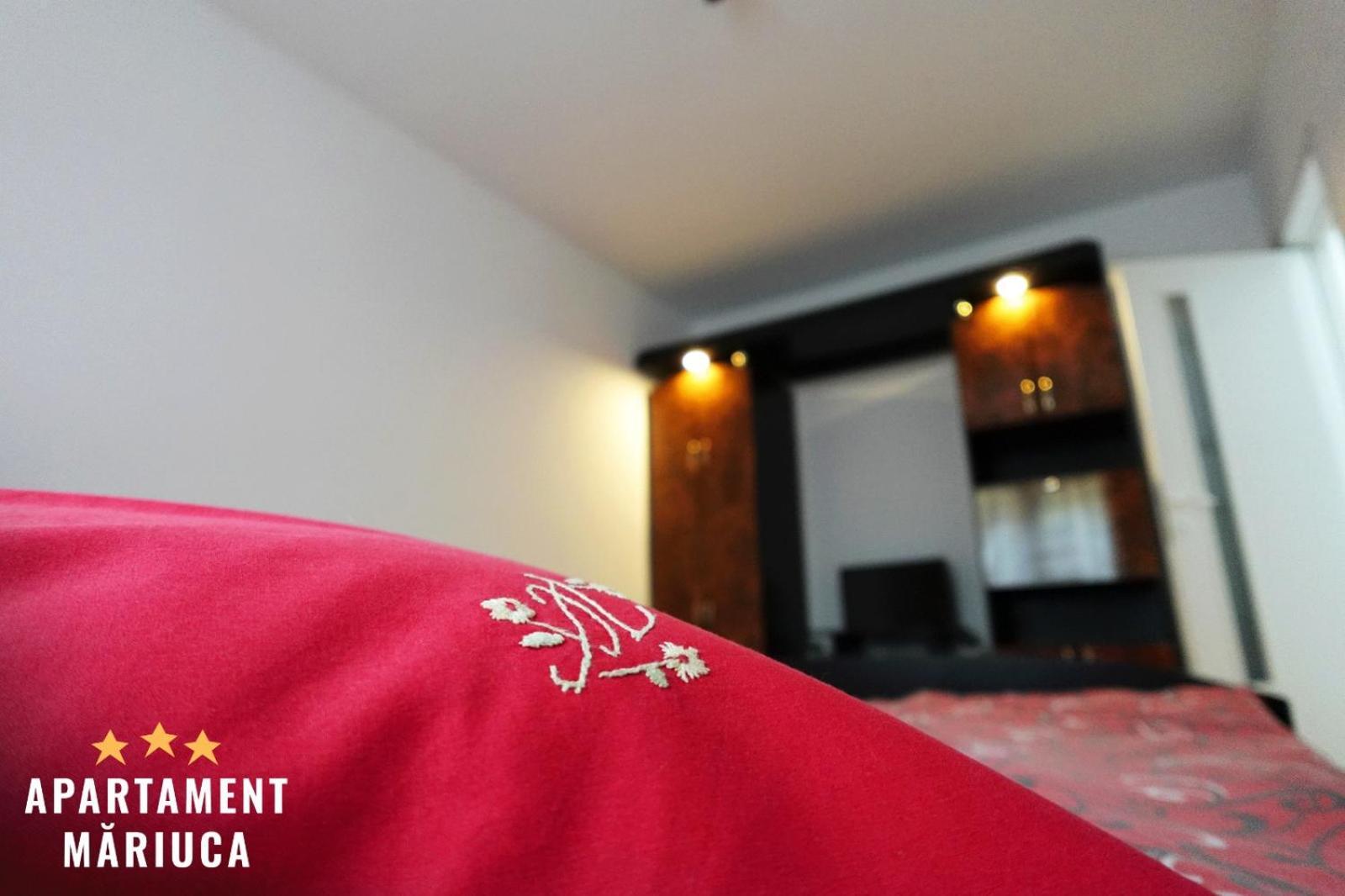 Mariuca Apartament Buşteni Extérieur photo